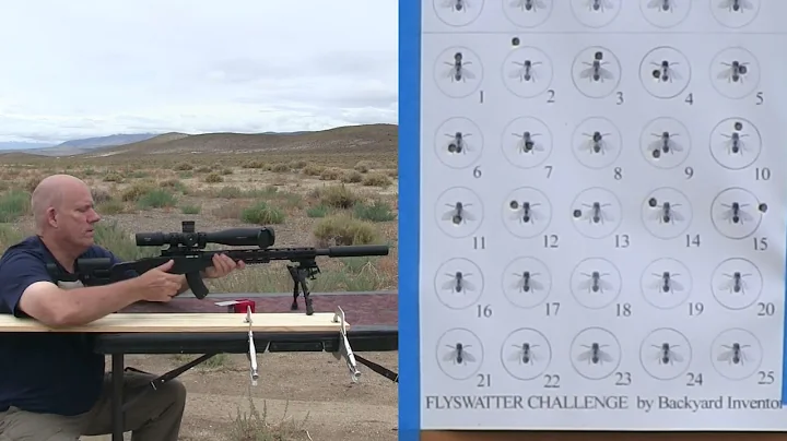 Flyswatter Challenge with .17 HMR