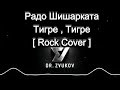 Радо Шишарката Тигре Тигре Rock Cover By Dr Zvukov