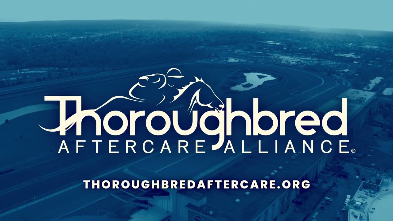 Gulfstream Park Replay Show | February 26, 2026