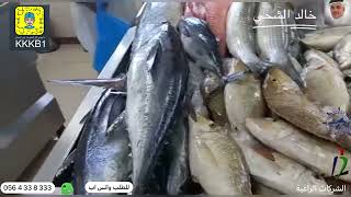 اسعار الاسماك في سوق سمك راس الخيمة تقرير خالد الشحي القبطان 