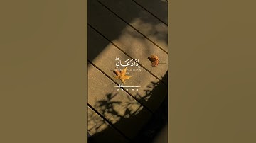اكتب ما تؤجر عليه 🌹 القارئ الشيخ عبد الله الموسى أرح سمعك#قرآن
