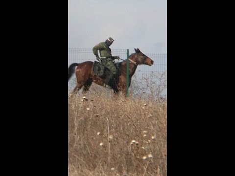 ოსებმა სათავისოდ დაიგულეს ეს ტერიტორიაც -  ქაცარავა ატოცში გადაღებულ ვიდეოს აქვეყნებს