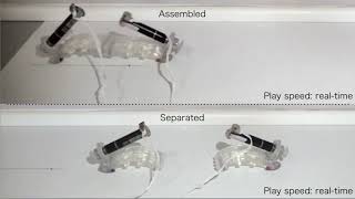 Autonomous decentralized control for soft-bodied caterpillar-like modular robot...