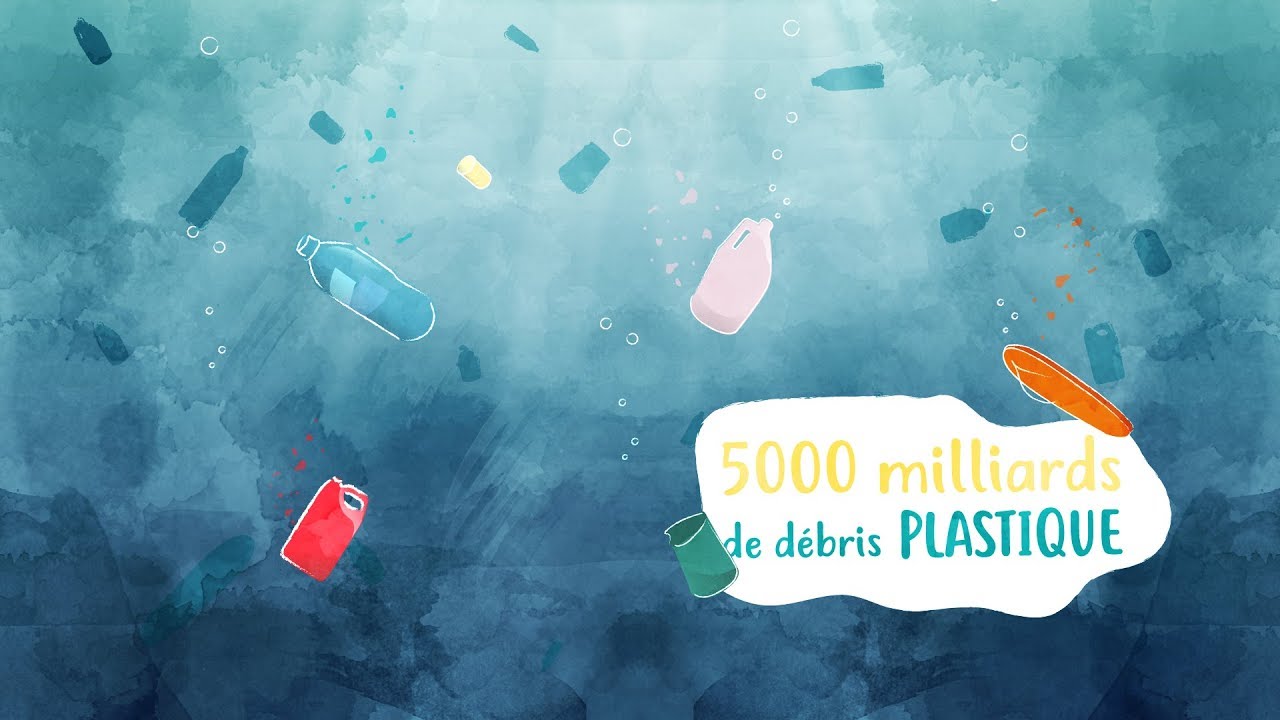 La Pollution Marine expliquée par Surfrider Foundation Europe