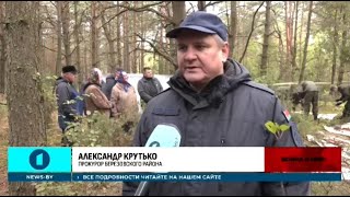 «Хоронили, чтобы не увидели фашисты» - найдено захоронение расстрелянных карателями местных жителей.