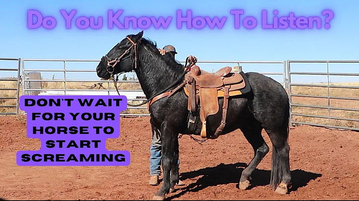 Are You Listening To Your Horse?