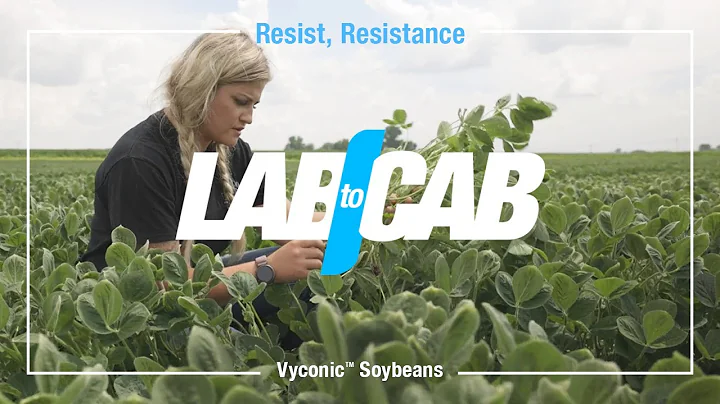 Vyconic™ Soybeans Fight Herbicide Resistant Weeds - Lab to Cab