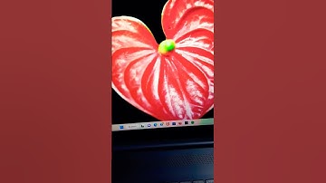 Shutdown = alt + f4 after than press enter // What is the shortcut key to shutdown the laptop?