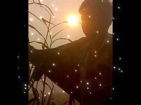 Storage Emulated 0 Movies V Show 2021 12 12 11 53 14 Mp4