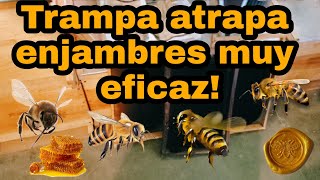 Como hacer una trampa atrapa enjambres