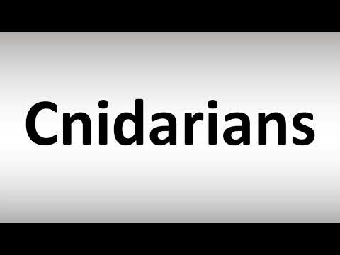 How to Pronounce Cnidarians