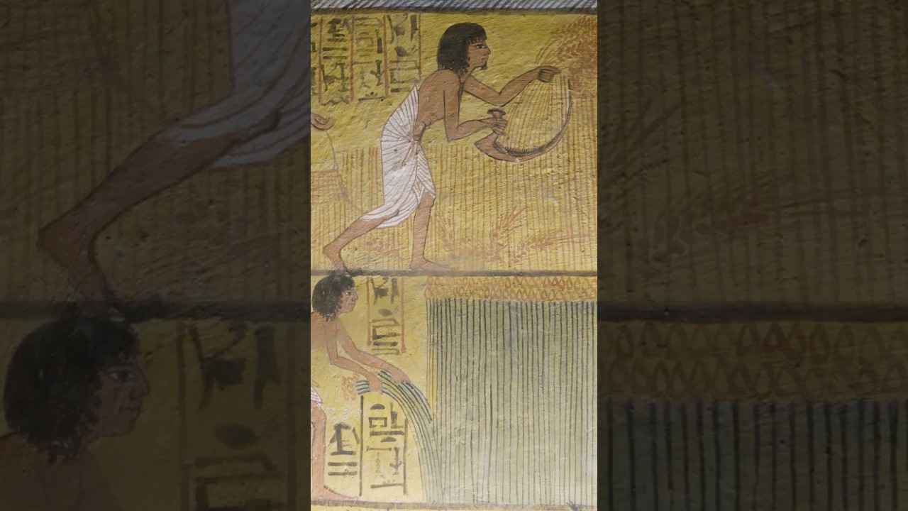 18000 г. до н.э. — обнаружены самые ранние ботанические находки в Египте!