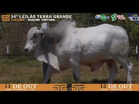 LOTE 083