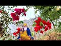 Sukhmani Sahib da Path in Heart touching Voice | Ek Onkar Mp3 Song