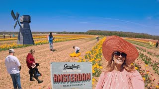 "Visiting a Magical Tulip Farm 🌷 | Most Beautiful Flower Fields Ever!"