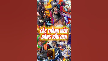 Các thành viên Băng hải tặc Râu Đen #onepiece #anime #op #blackbeard #animeshorts #shorts #luffy