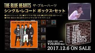 THE BLUE HEARTS「シングル・レコード ボックス・セット」ダイジェスト映像 (2017年12月6日発売)