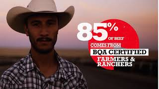 Beef Quality Assurance: Certified