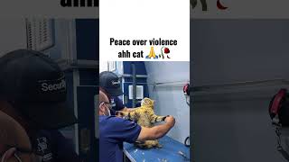 #animatedstory