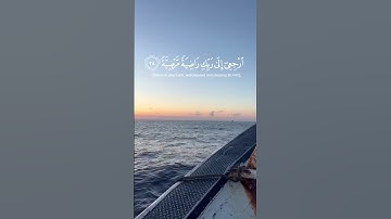 #القرآن_الكريم #راحة_نفسية #آيات #تلاوة_خاشعة #تجويد #المصحف #اكسبلور