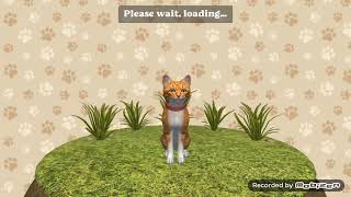 Pamuk Şekercim Seni Kıramadım Video Çektim Cat Simulator