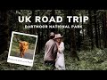 UK ROAD TRIP: Dartmoor National Park