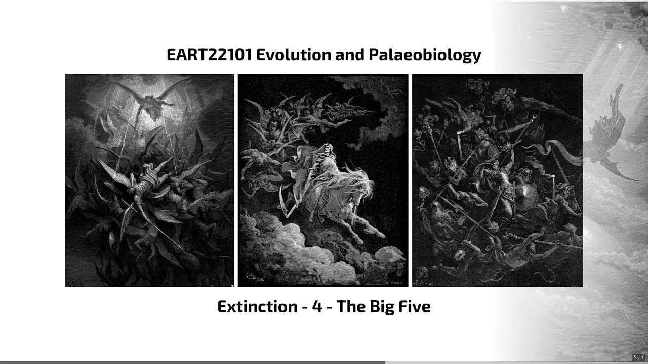 Extinction, Video 4 - EART22101 - Palaeobiology and Evolution - 2023 ...