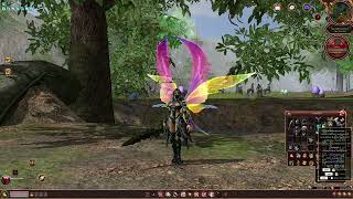 Beyond2 | Alas y Accesorios Multi-evo