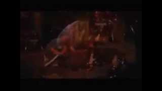 Leftovers   Irish Car bomb Live music video
