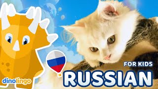Learn Russian For Kids Animals Online Russian Lessons For Children