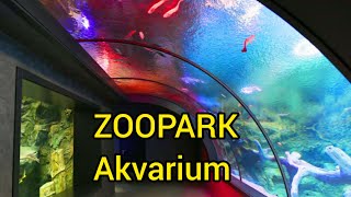 Бакинский Зоологический Парк, Аквариум / Бакинский Зоопарк-аквариум