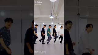 Lee Euijin and Super Junior Shindong (Tiktok Video Compilation)