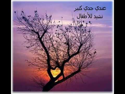 عندي جدي كبير