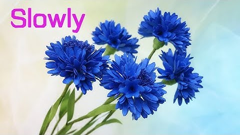 ABC TV | How To Make Cornflower Paper Flower (Slowly) - Craft Tutorial