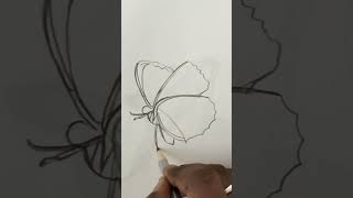 Butterfly 🦋✨ Drawing #shorts #youtubeshorts #drawing #art #artist #pencildrawing