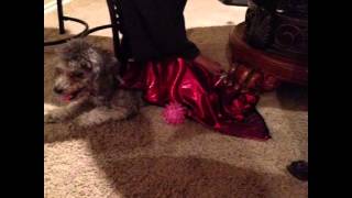 Chloe Song By Grande1899 - Fnaf2 Its Been So Long In Note Blocks