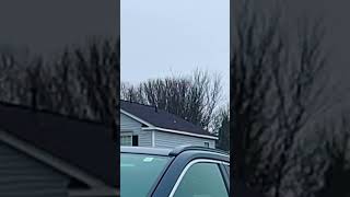 North Carolina 2025 Snow: Why southerners go crazy for snow