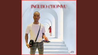 Ingubo Ebomvu