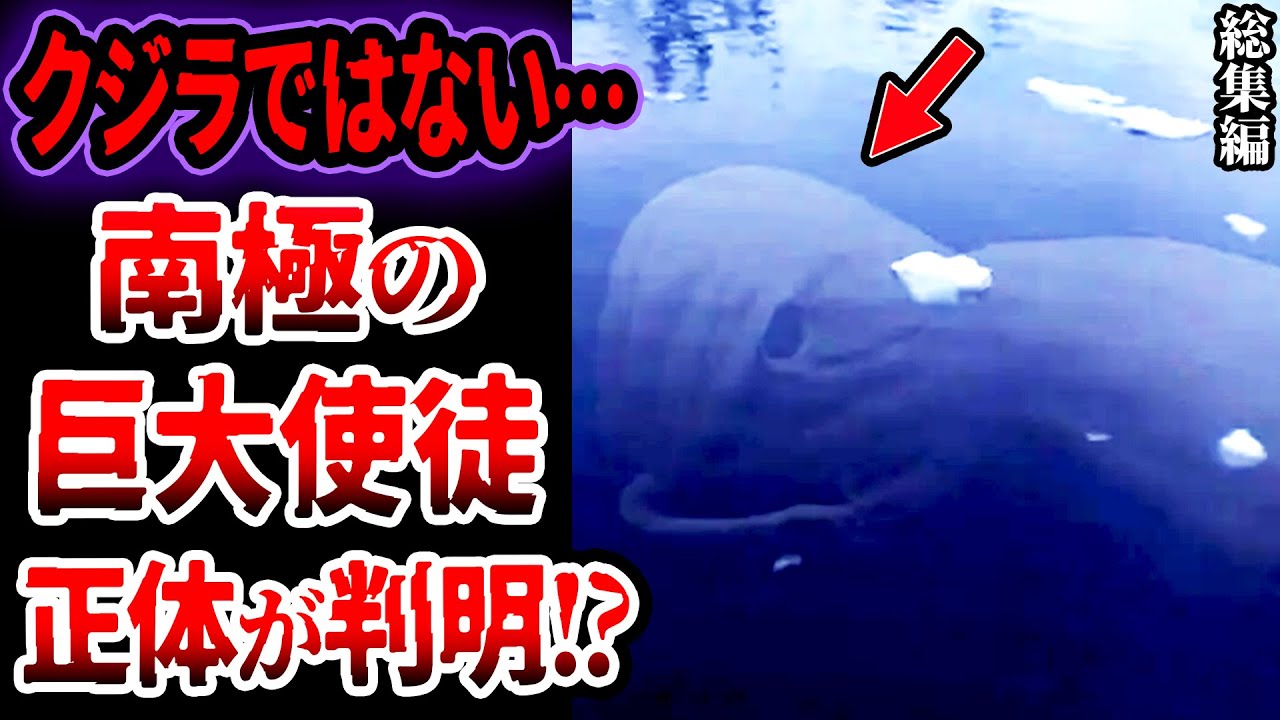 【総集編】南極には何かがいる…謎の超巨大なUMAを捉え調査した結果…眠れないほど面白い正体が判明した使徒UMA【ゆっくり解説】【UMA•未確認生物】