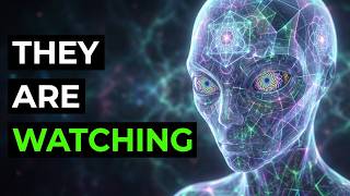 DMT Entities: Who Are They and What Do They Reveal About the Simulation?