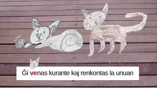 Tri katoj renkontiĝas