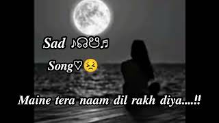 Maine tera naam del rakh diya/(slowed+reverb) raghav chaitanya, Shreya Ghoshal/neha official/