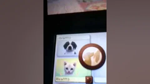 My nintendogs plus cats is after been reset!!!!!!