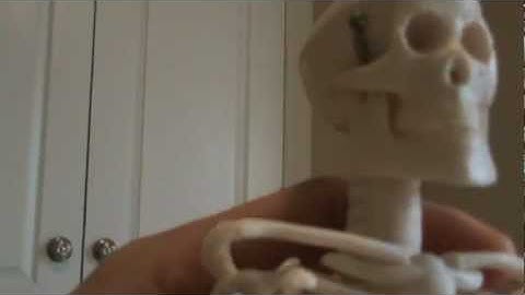 A&P 1   Lab Practical video