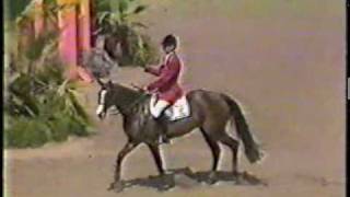 Olympics 1984- Showjumping - Abdullah  and Touch of Class