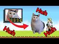 Huh貓咪 貓咪大戰爭 | Huh Cat(Battle Cats)