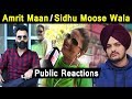 Sidhu Moose Wala / Amrit Maan ( Public Reaction ) | Dainik Savera