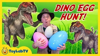 DINOSAUR TOY HUNT w/ Egg Surprise, Lego Batman Movie Kids Toys Collection Opening, Gummy Snake Candy