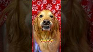 Planı Fena Halde Ters Tepti🙊