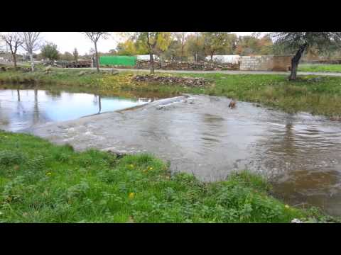 Río Aliste: segunda